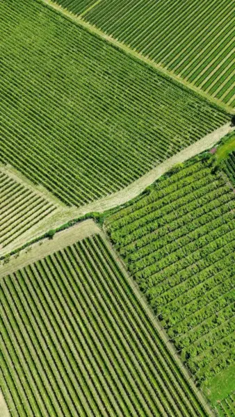 Bedrijfsfilm met drone opnames voor bedrijven