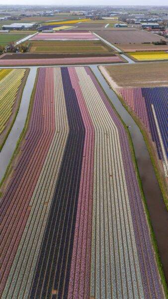 Professionele bedrijfsfilm met drone